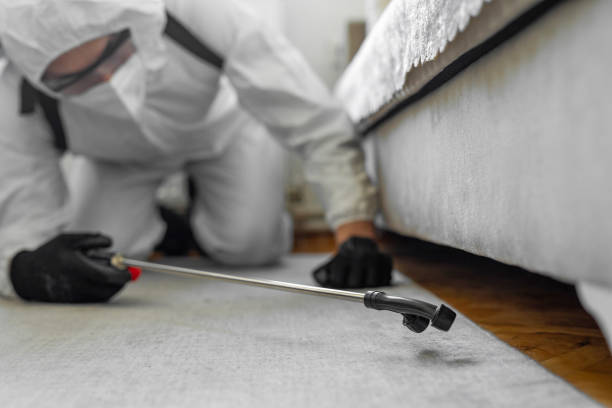 Professional Bed Bug Control technician working in Woodfin, NC