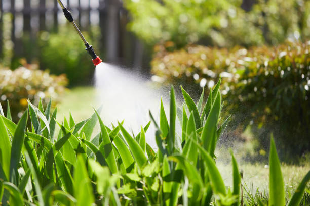 24/7 Emergency Bed Bug Control experts in Woodfin, NC