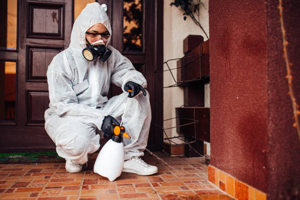 Reliable Bed Bug Control contractor in Woodfin, NC by Nex Pest Control