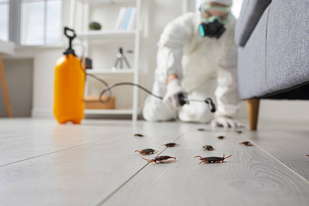 Trusted Fumigation Services service in Woodfin, NC - Nex Pest Control