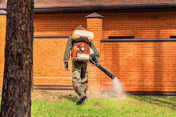 Trusted Ant Control service in Woodfin, NC - Nex Pest Control